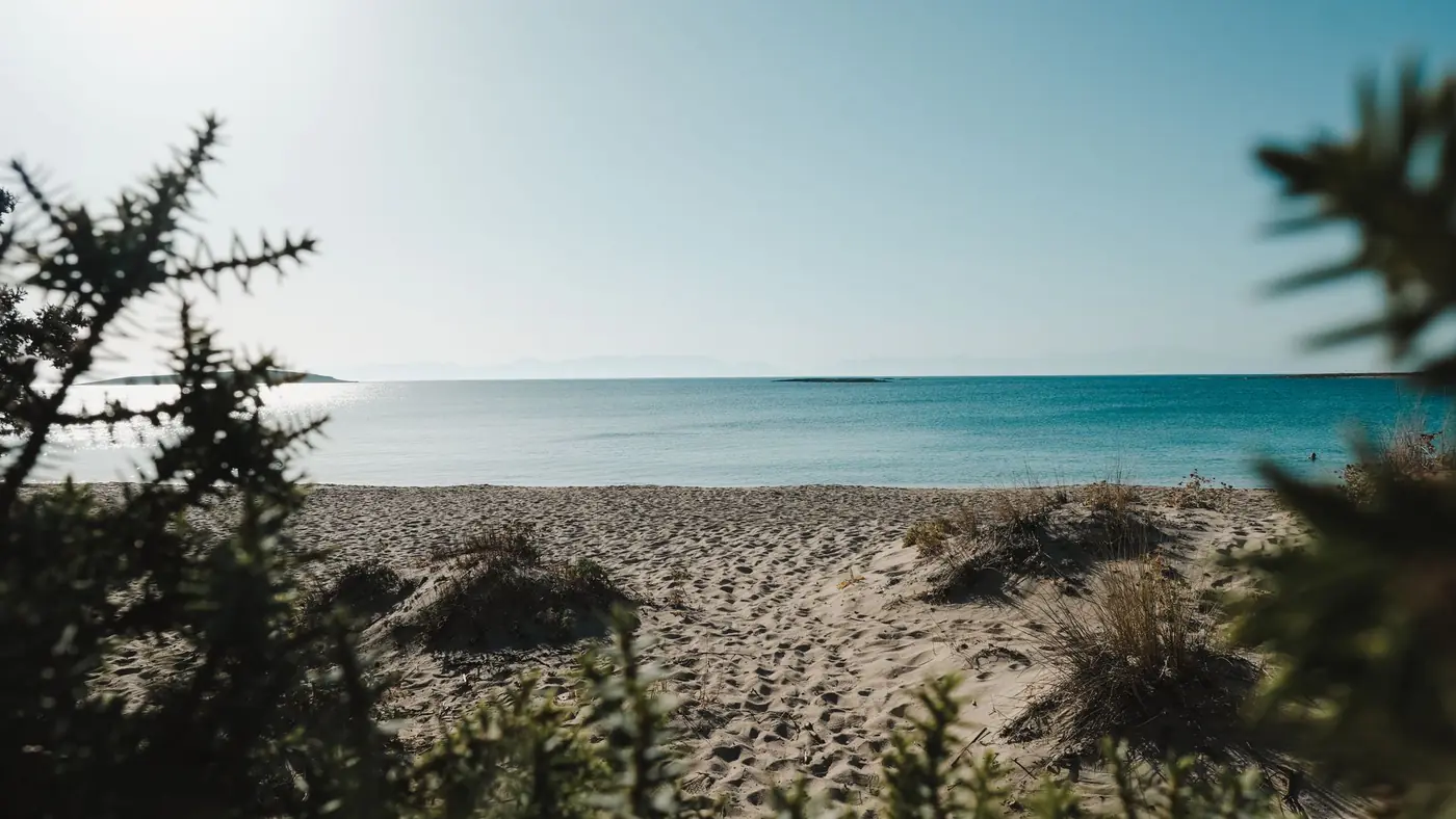 Serene sandy beach with clear blue water in Peloponnes, Greece, surrounded by lush greenery under a bright sky.